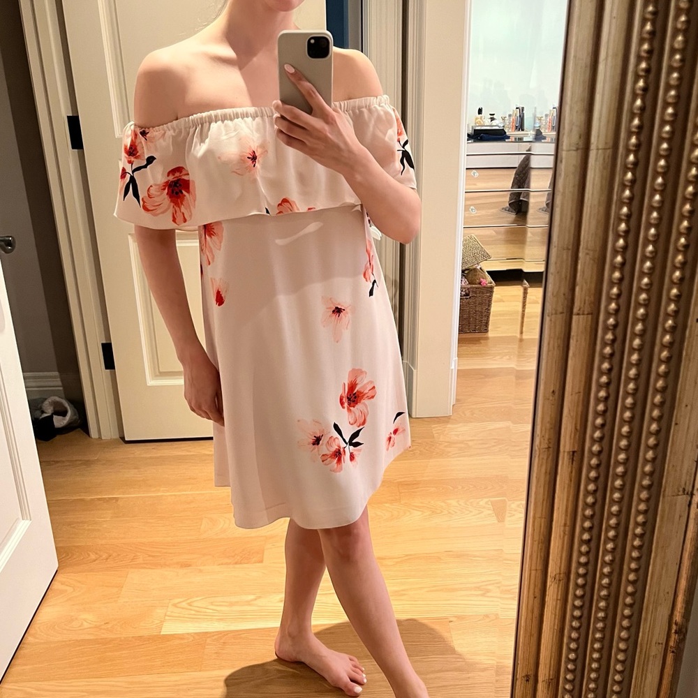 Aritzia Dress | Wilfred Pink Off the Shoulder Dress